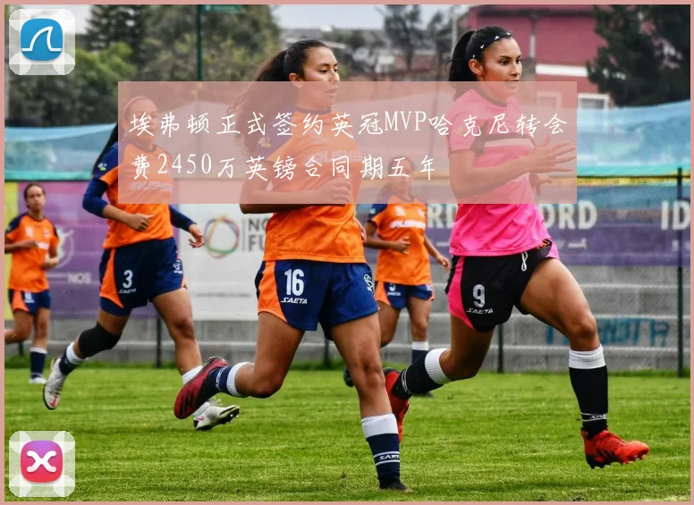 埃弗顿正式签约英冠MVP哈克尼转会费2450万英镑合同期五年