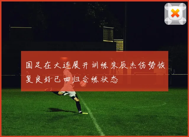国足在大连展开训练朱辰杰伤势恢复良好已回归合练状态