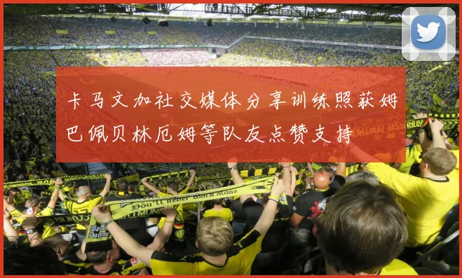 卡马文加社交媒体分享训练照获姆巴佩贝林厄姆等队友点赞支持